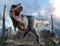 ANIMAL'S FIGHT KINGDOM